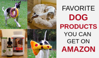 Collage of dog products