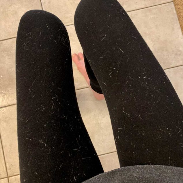 Black pants with dog hair on it.