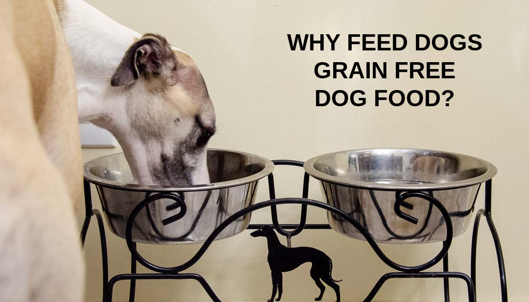 Why I Feed My Dogs GrainFree Dog Food Spoiled Hounds