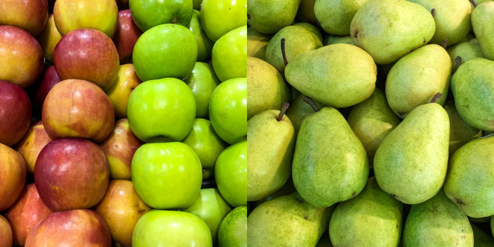 Collage of apples and pears. Fruits dogs can eat.