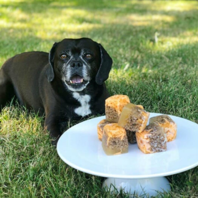 Black dog next to a tray of frozen dog treats.