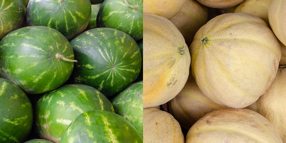 Collage of watermelons and cantaloupes.