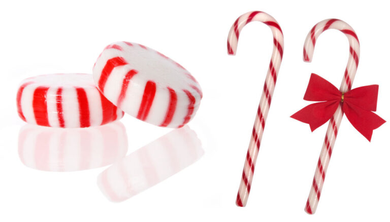Fresh Look at Can Dogs Eat Peppermint What You Need To Know