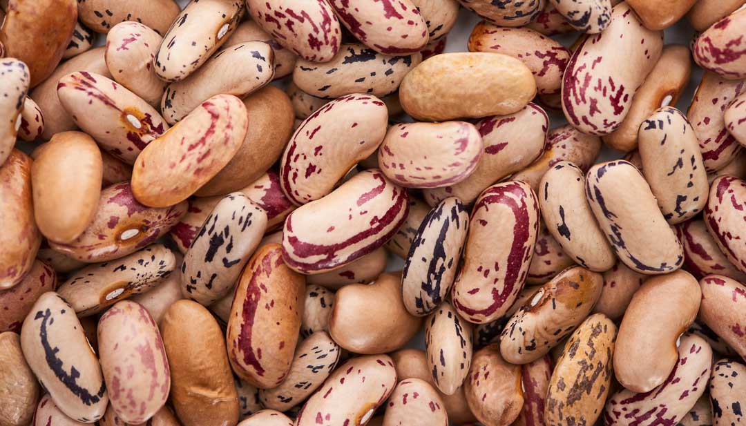 dried pinto beans