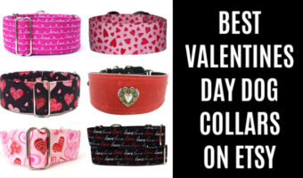collage of valentines day dog collars on Etsy
