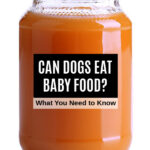 jar of baby food