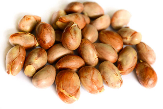 jackfruit seeds