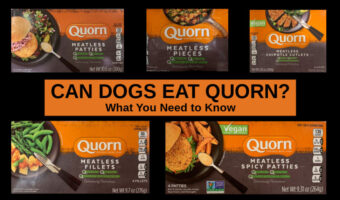 collage of Quorn meatless products