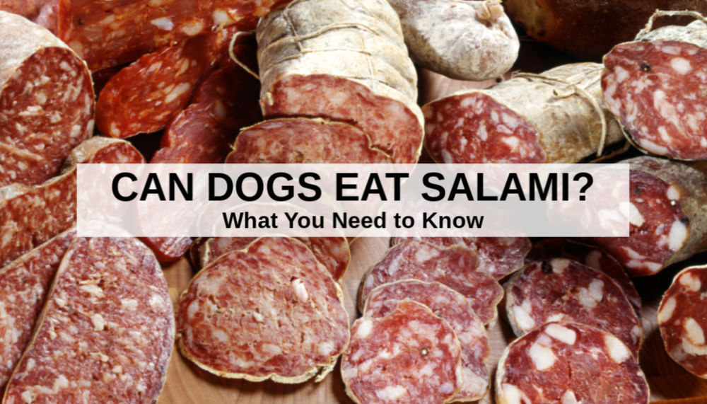 a variety of salami sausages