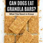 granola bars