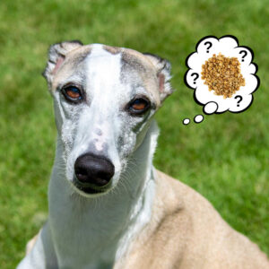 Picture of Can Dogs Eat Granola? What You Need To Know