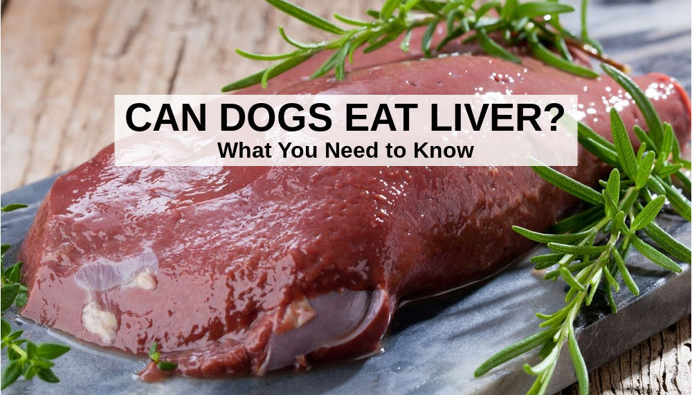 Can Dogs Eat Liver? What To Know About Dogs and Liver