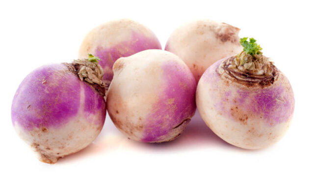 Can Dogs Eat Turnips What To Know About Dogs And Turnips