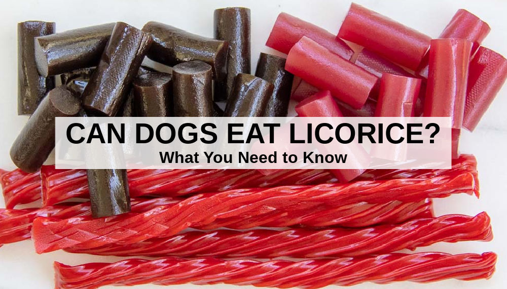 is licorice candy bad for dogs