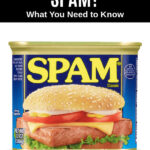 a package of Spam meat