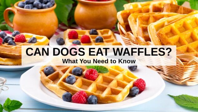 waffles on a plate and in a basket