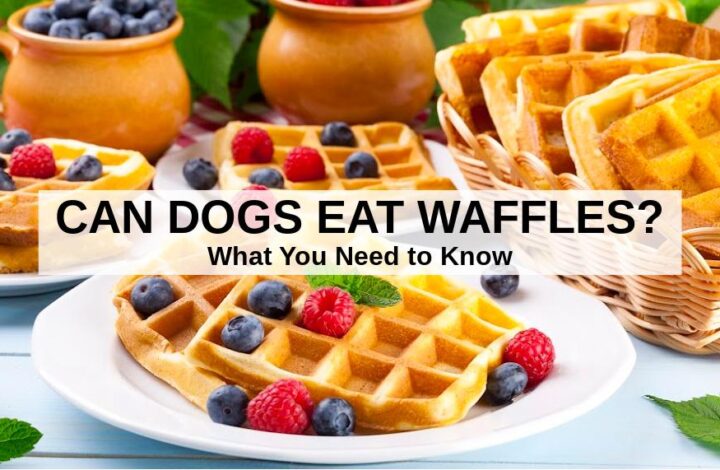 waffles on a plate and in a basket