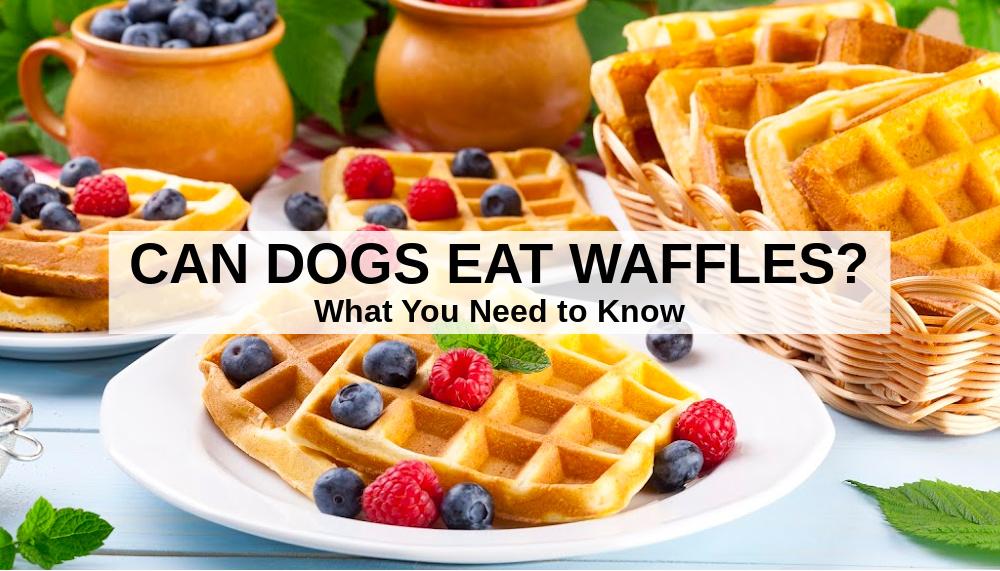 waffles on a plate and in a basket