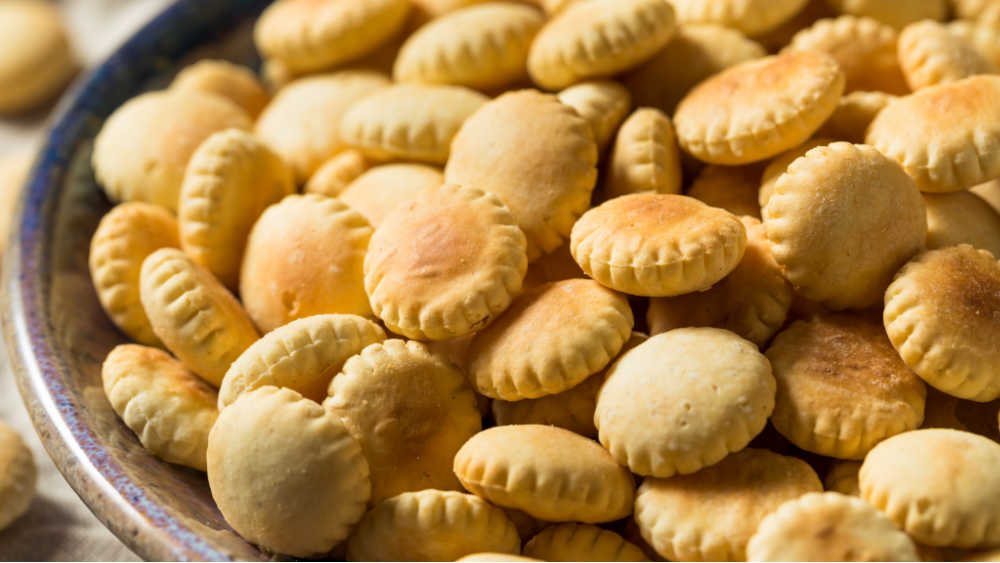 Can Dogs Eat Crackers? What You Need To Know Spoiled Hounds