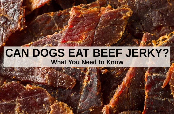 a bunch of beef jerky pieces