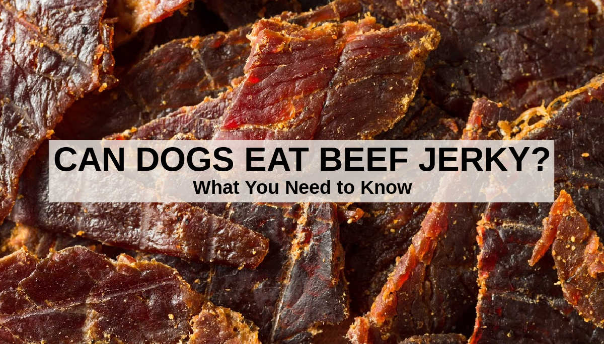 Can dogs have beef jerky