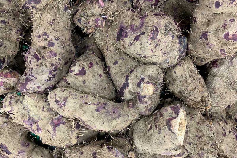 a pile of ratalu purple yams