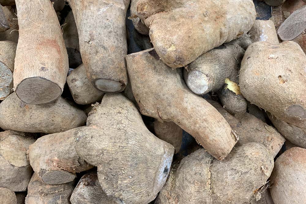 Can Dogs Eat Yams? What to Know About Dogs and Yams