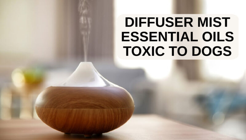 essential oil mist diffuser on a table