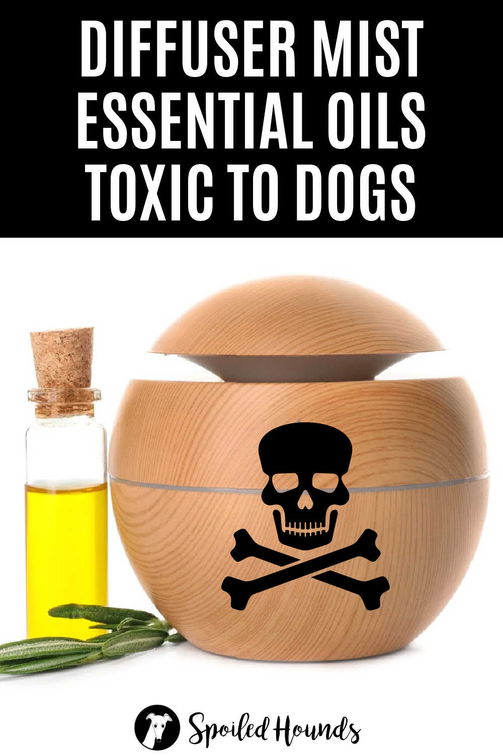 are-essential-oils-safe-for-pets-essential-oils-dogs-are-essential