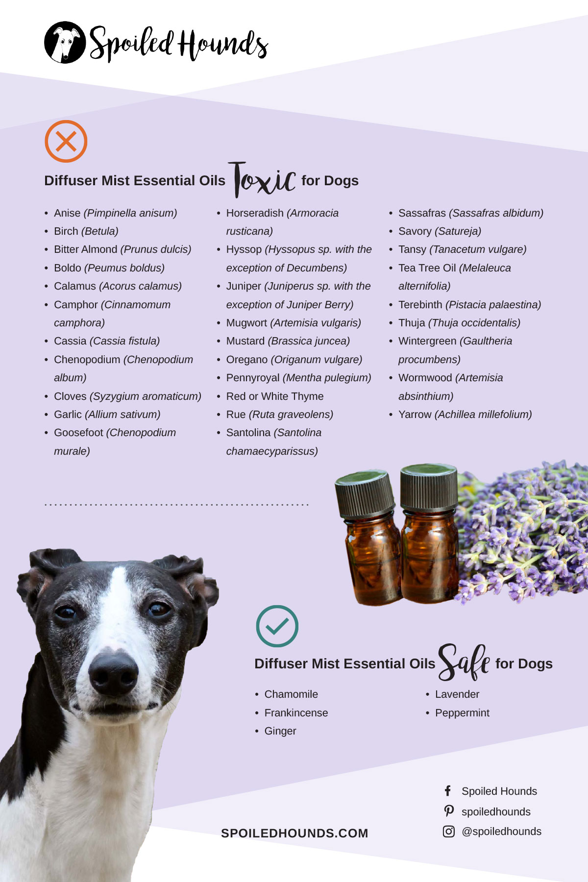 Diffuser Essential Oils Toxic To Dogs List Pin 