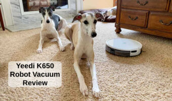 Yeedi k650 robot vacuum and three whippet dogs