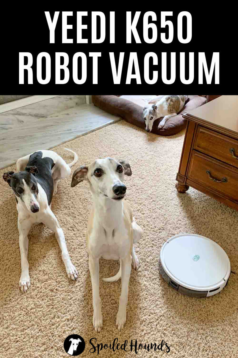 three dogs and a Yeedi k650 robot vacuum