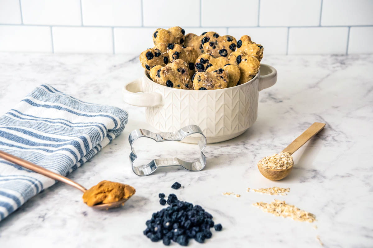 homemade blueberry dog treats in a bowl and some of the ingredients in front of it.
