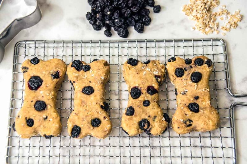 Homemade Blueberry Dog Treats Recipe Spoiled Hounds