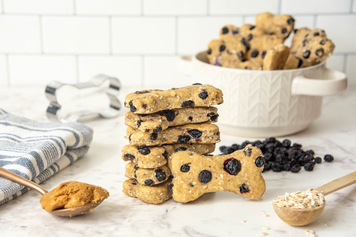 Homemade Blueberry Dog Treats Recipe Spoiled Hounds