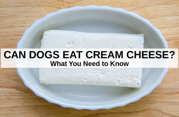 cream cheese in a dish