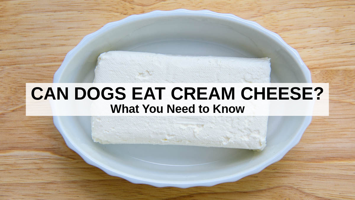 cream cheese in a dish