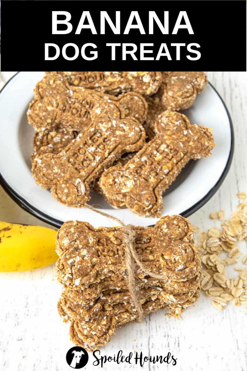 Homemade Banana Dog Treats - Spoiled Hounds