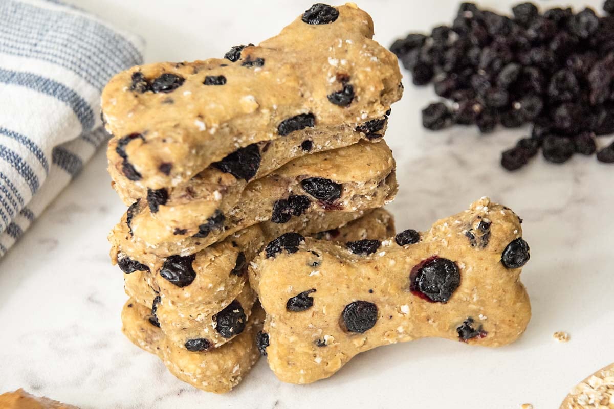 A stack of homemade blueberry dog treats and dried blueberries.