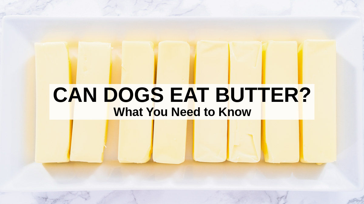sticks of butter on a platter