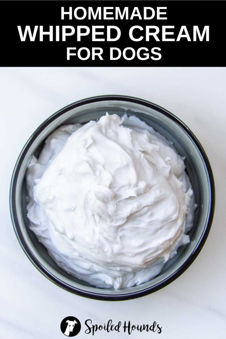 Whipped Cream for Dogs A Dairy Free Treat Spoiled Hounds