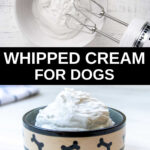a collage of coconut whipped cream in a mixing bowl and dog bowl