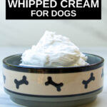 a dog bowl with whipped coconut cream in it