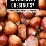 a pile of chestnuts.