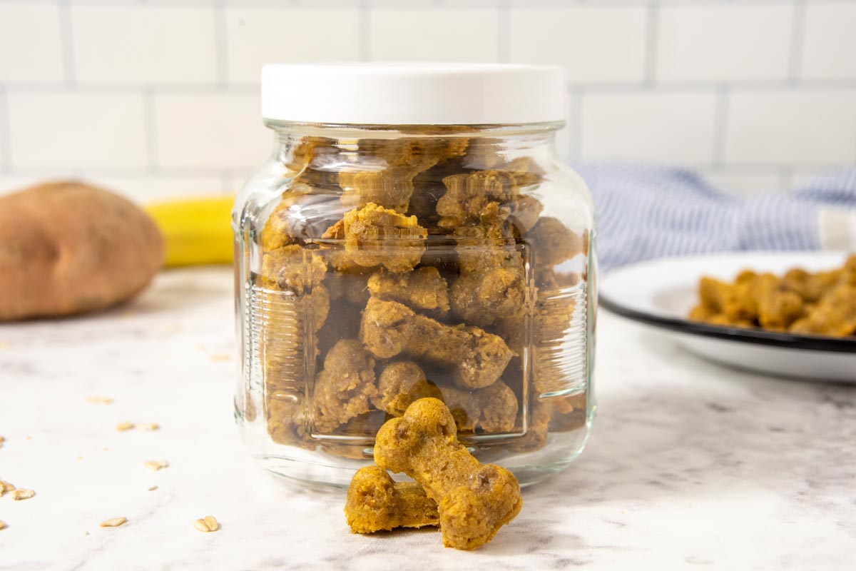 homemade sweet potato dog treats in a large glass storage jar.