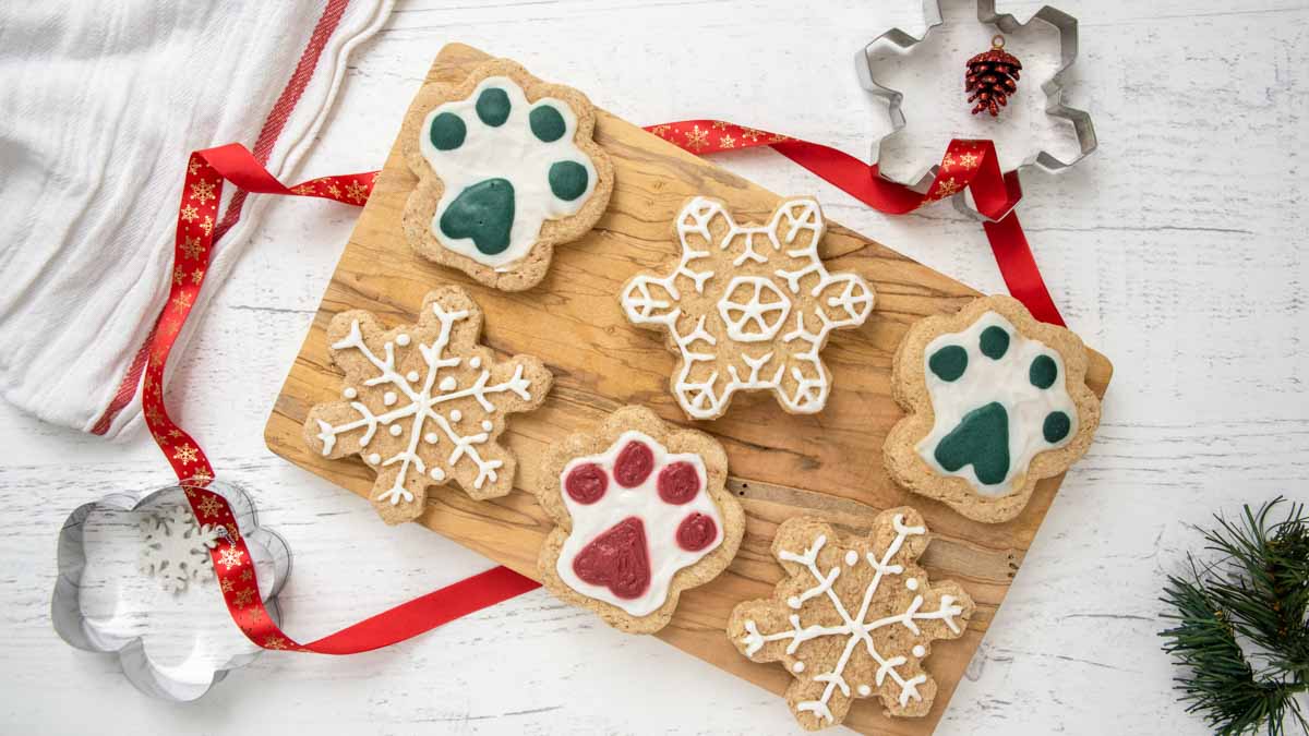 decorated homemade Christmas dog treats and cookie cutters.