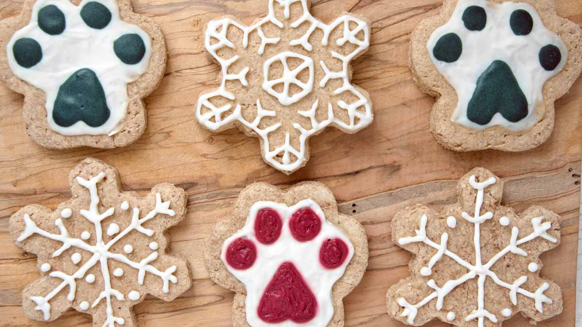 homemade Christmas dog treats with icing.