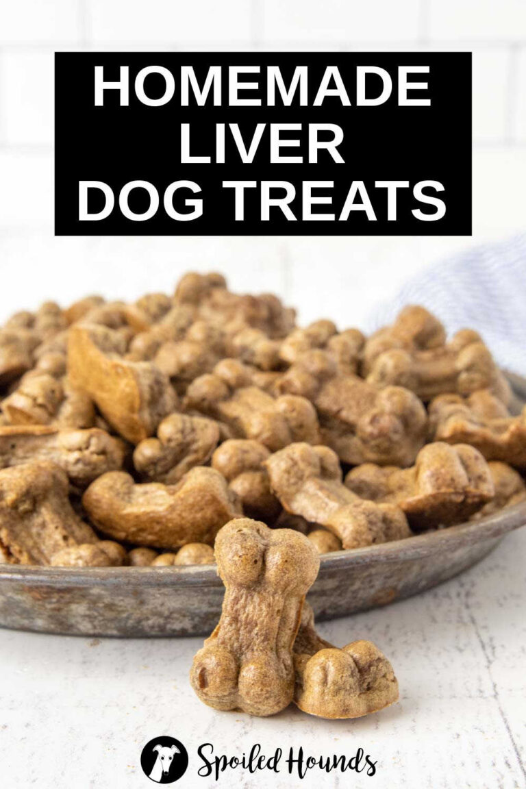 Best Homemade Liver Dog Treats Recipe - Spoiled Hounds