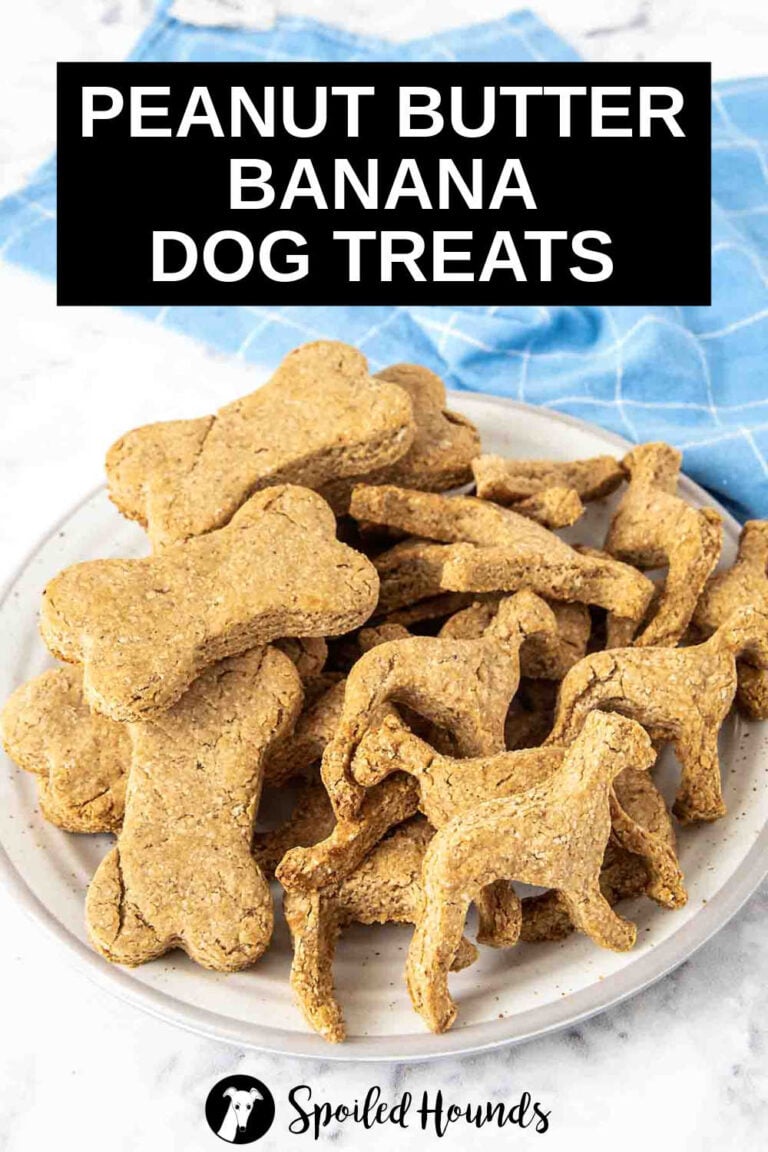 Visual Reference: Peanut Butter Banana Dog Treats Recipe