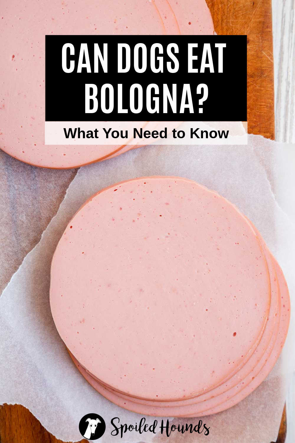 can you feed dogs bologna